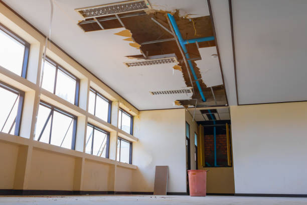 Best 24/7 water damage repair  in Buckeye Lake, OH