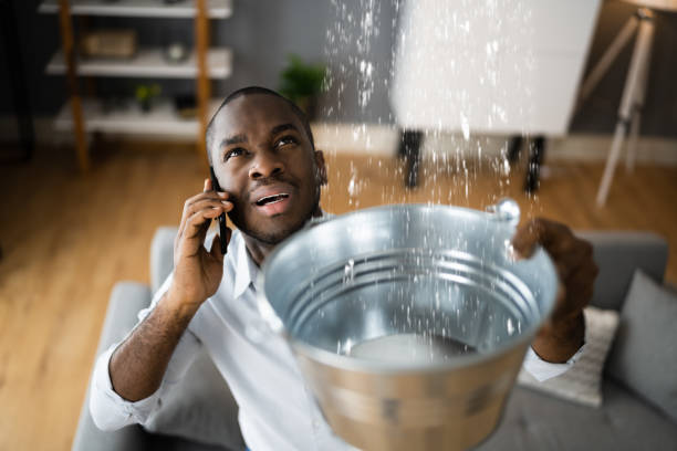 Best Water damage restoration near me  in Buckeye Lake, OH