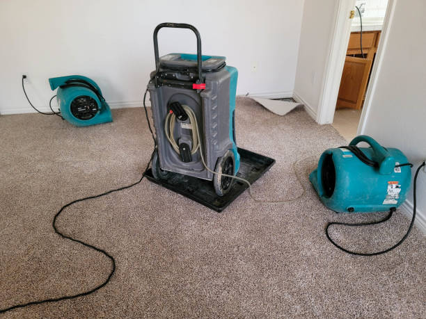 Best Water damage restoration experts  in Buckeye Lake, OH