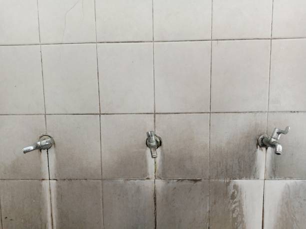 Best Local water damage restoration  in Buckeye Lake, OH
