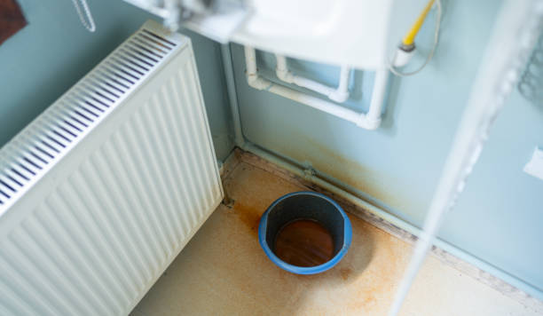 Best Water damage cleanup near me  in Buckeye Lake, OH
