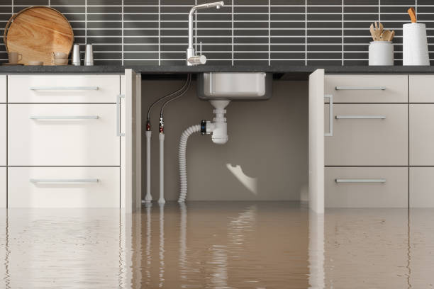 Best Carpet water damage restoration  in Buckeye Lake, OH