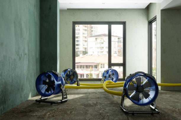 Best Water damage contractors near me  in Buckeye Lake, OH